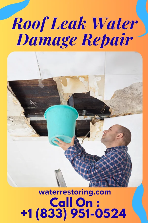 Roof Leak Water Damage Repair in Linden, IA
